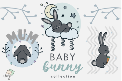 Baby bunny collection.