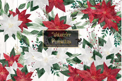 Watercolor Poinsettias Clipart