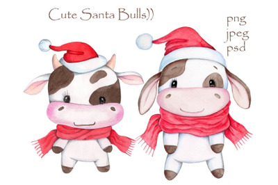 Cute Santa Bulls. New Year illustrations.