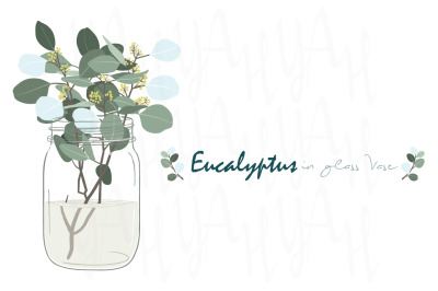 Eucalyptus In Glass Vase Collections