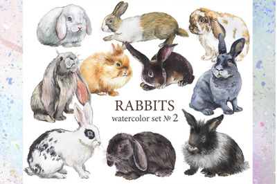 Rabbits watercolor clipart set 2. Decorative breeds of rabbits