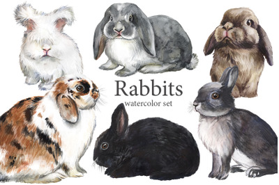 Rabbits watercolor clip art, cute pet clipart, fluffy colorful pets