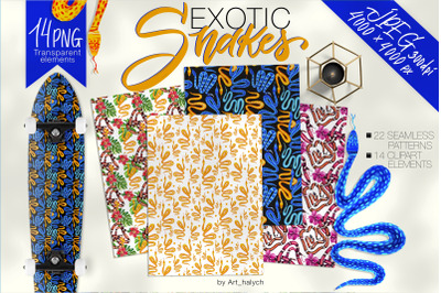Exotic snakes - clipart and seamless patterns PNG &amp; JPEG