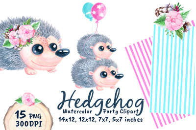 Cute Hedgehog Baby Shower Watercolor Png