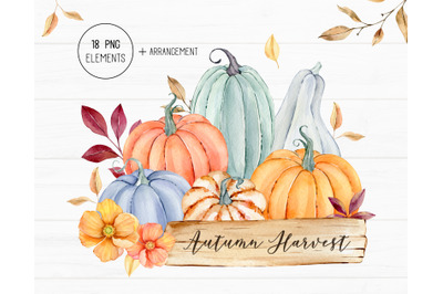 Autumn Watercolor Clipart, Fall Harvest