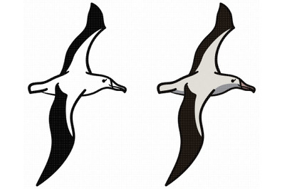 albatross SVG, PNG, DXF, clipart, EPS, vector