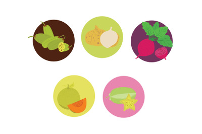 Fruits Icon Vector Bundle