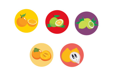 Fruits Icon Vector Bundle