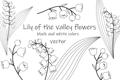 Lilies of the valley flowers black and white graphics vector