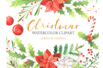 Watercolor Christmas Floral Clipart