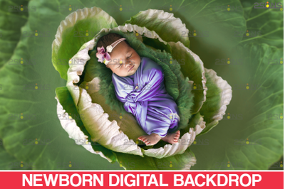 Floral Backdrop &amp; Newborn backdrop: Photoshop overlay