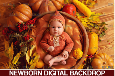 Newborn backdrop &amp; Baby autumn backdrop, Photoshop overlay