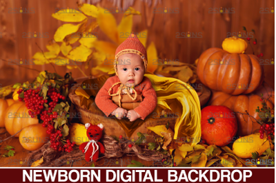 Newborn backdrop &amp; Baby autumn backdrop, Halloween digital backdrop