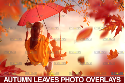 Autumn leaves overlay &amp; Falling leaf, Photoshop overlay: Fall png over