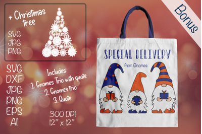 Special Delivery. Christmas Gnomes. Gnome TRIO Clipart