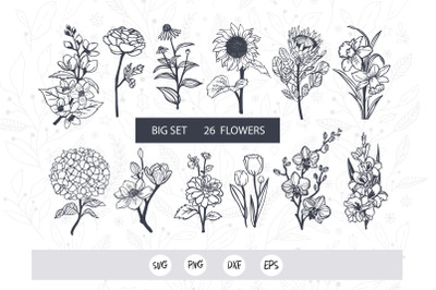 Gardening Flowers svg , Hand Drawn Flower Clipart, botanical