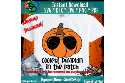 Coolest Pumpkin in the Patch SVG&2C; Fall Cut File&2C; Boy Thanksgiving Desi