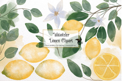 Watercolor Lemon Clipart