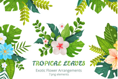 Exotic Flower Arrangements  PNG 4
