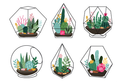 Terrarium plants. Geometric succulent, cactus terrariums, hand drawn t