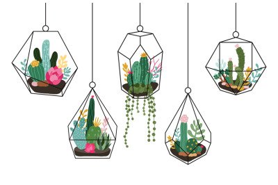 Doodle hanging terrarium. Succulents and cactuses glass florariums, tr