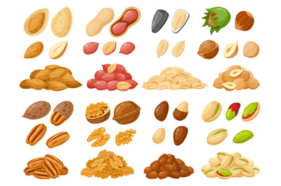 Cartoon nuts. Almond&2C; peanut&2C; cashew&2C; hazelnut nuts&2C; sunflower seed an