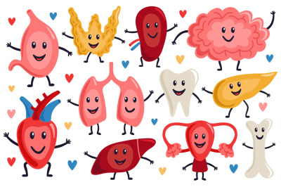 Cute internal organs. Healthy funny heart, stomach, lungs and brain, m