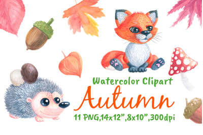 Autumn Hedgehog &amp; Fox Watercolor Png