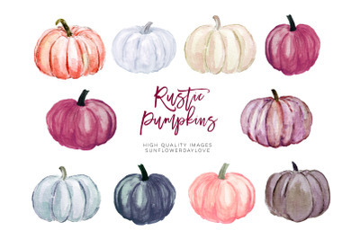 Autumn pumpkin watercolor clipart, Wine Fall Bridal Shower, Marsala