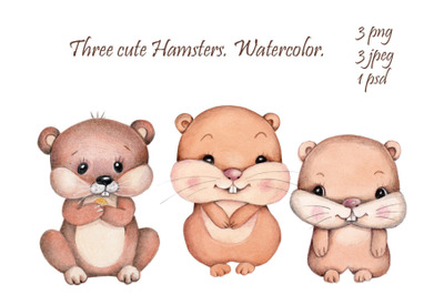 Three cute hamsters. Watercolor.