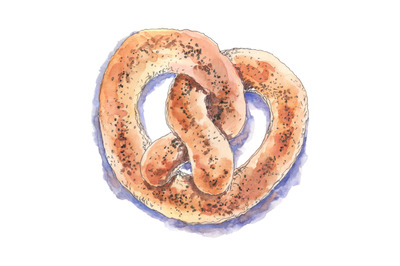 Pretzel, bagel with poppy - hand drawn watercolor food illustration