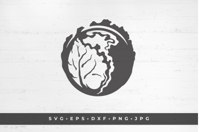Head of cabbage icon isolated on white background vector illustration.