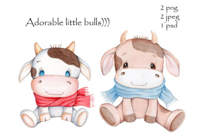 Adorable little bulls. Watercolor illustration.