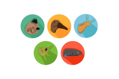 Catfish Friends Cartoon Animals Icon Bundle