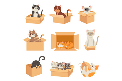 Cats in boxes. Cute stickers with cat sitting&2C; sleeping and playing in