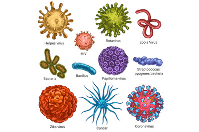 Viruses. Sketch color herpes, hiv and papilloma, zika and coronavirus.