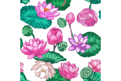 Pink lotus seamless pattern. Gentle water lily flowers, pink lotus. De