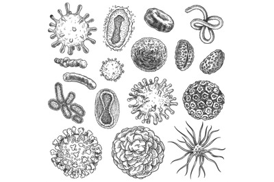 Sketch virus. Bacteria, coronavirus germ biology micro organic element