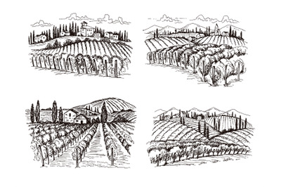 Vineyard. Old france chateau wine landscape hand drawn vector illustra