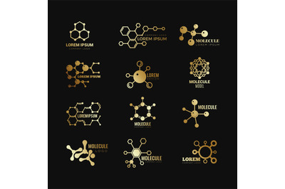 Golden molecular vector logotypes. Evolution concept formula chemistry