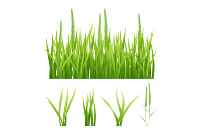 Grass realistic. Green nature vector pictures of grass and leaves plan