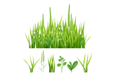 Green grass. Fresh garden elements nature vector pictures of herbs and