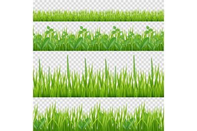 Grass herbs pattern. Nature symbols leaves and herbs horizontal vector