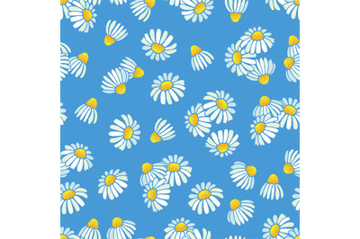 Chamomile, daisy vector pattern. Floral seamless texture