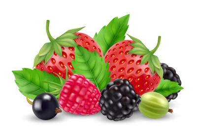 Realistic berries vector. Strawberry, raspberry, goose berry, blackber