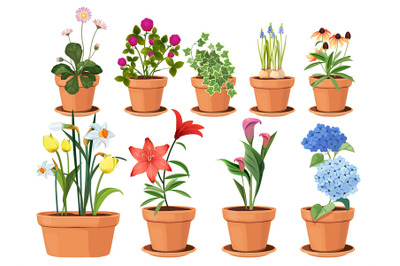 Flowers pot. Nature cartoon vector illustration of flowers and leaves