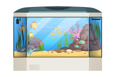 Big aquarium. Fishes and water plants in glass aquarium tank underwate