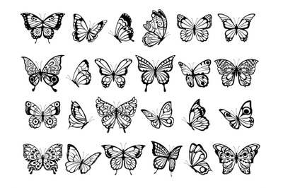 Butterfly collection. Beautiful nature flying insect drawing&2C; exotic b