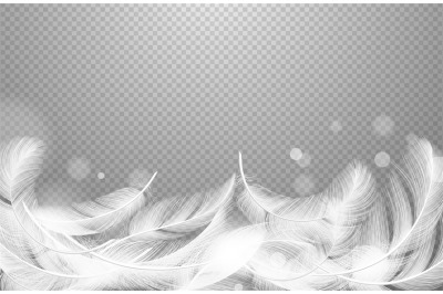 Falling feathers vector. Realistic floating white feathers isolated on