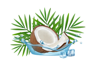 Realistic coconut in water splash, vector palm leaves and ice cubes is